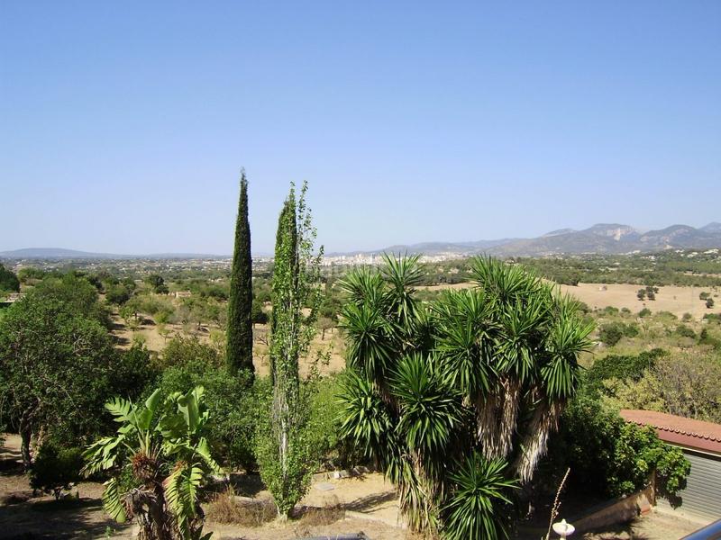 Foto eeca9366-9a30-40fc-94e0-9e5f2fdb513e. Masia amb calefacció aparcament piscina a Es Blanquer Inca