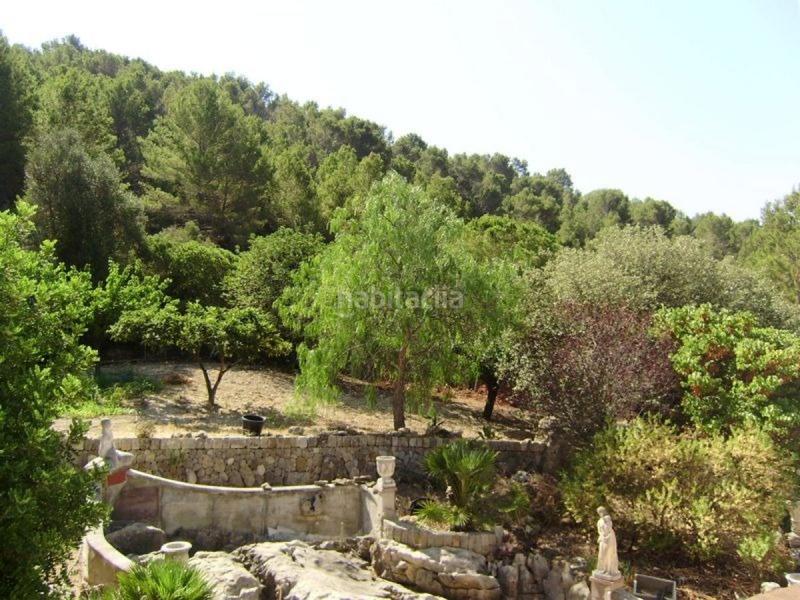 Foto fb7d3551-489b-4daa-8de0-2a529712681a. Masia amb calefacció aparcament piscina a Es Blanquer Inca