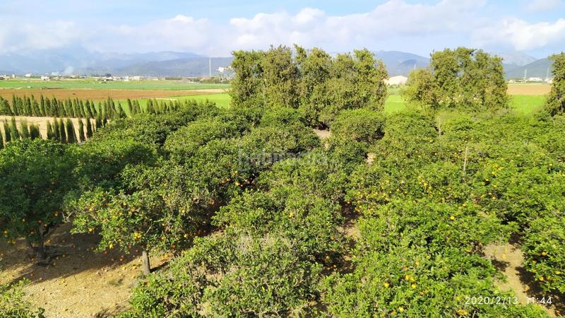 Foto f15a85b4-ce41-4d0f-a1da-534c07a1fbf0. Masía finca rústica con cédula en Sa Pobla
