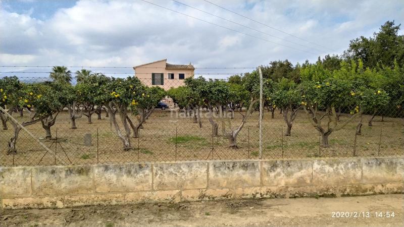 Foto f63a2af2-863b-440a-8f4b-fad65939c3e1. Masía finca rústica con cédula en Sa Pobla