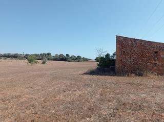 Residential Plot in Llubí. Finca rústica con licencia en trámite