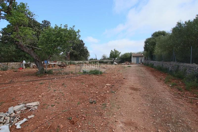 Foto a66429a2-eecc-41ba-b95a-2993d1fc8279. Finca rústica  con pequeña caseta en Llubí