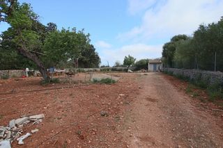 Landgut in Llubí. Finca rústica con pequeña caseta