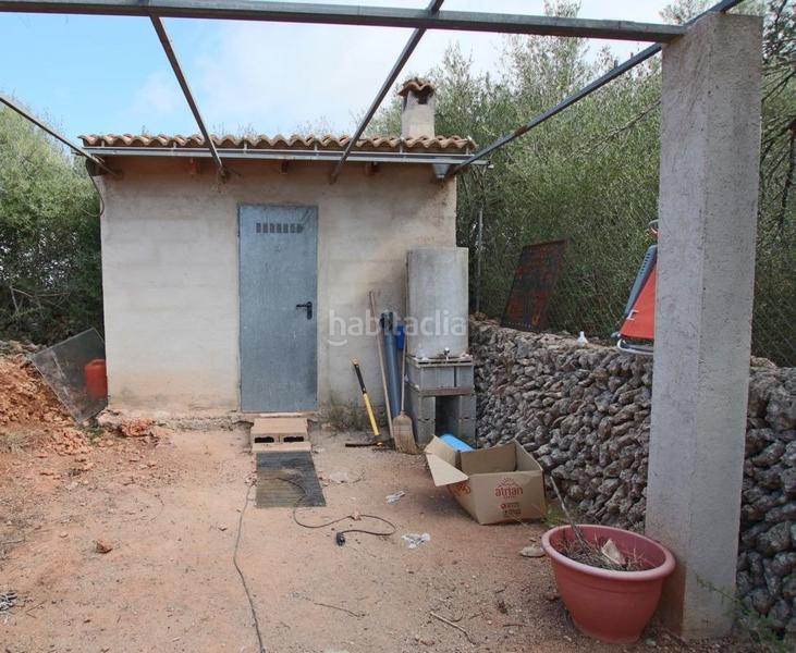 Foto cc7da22e-b658-44e1-9f4c-8d890be7c1a8. Finca rústica  con pequeña caseta en Llubí