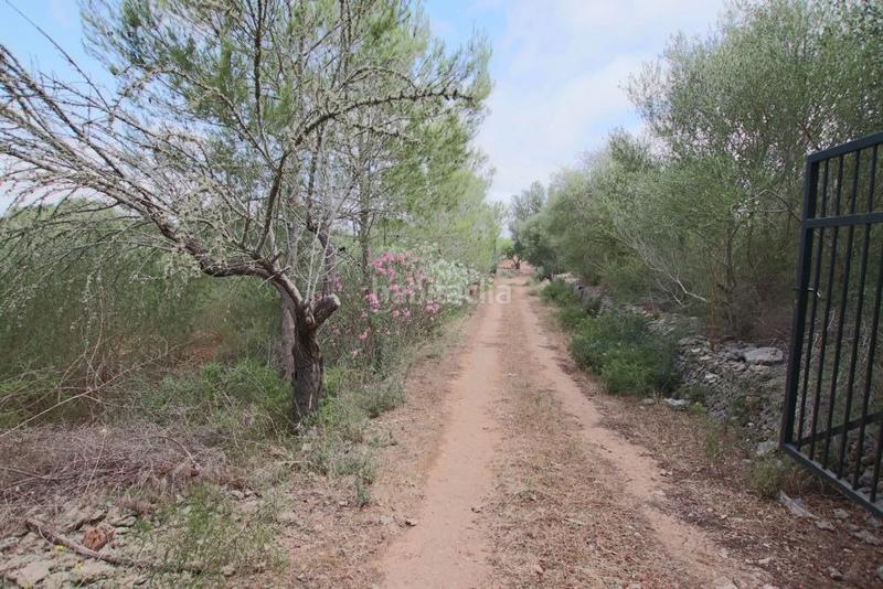 Foto e4eb916e-a393-4c31-8d31-e6e469f421ee. Finca rústica  con pequeña caseta en Llubí