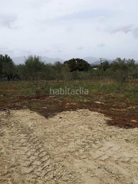 Foto 8c943343-8cc6-414b-ab7b-ac9ffa4bed91. Terreny residencial a Costitx