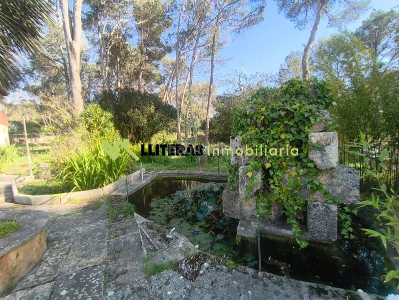Foto 48f63c44-7284-4cca-80c3-9588c1924b46. Masia amb aparcament piscina a Algaida