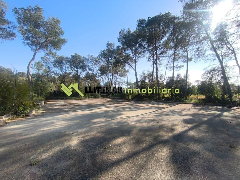 Foto b1fd75d5-d3ff-4339-8e95-5ade22cb4d24. Masia amb aparcament piscina a Algaida