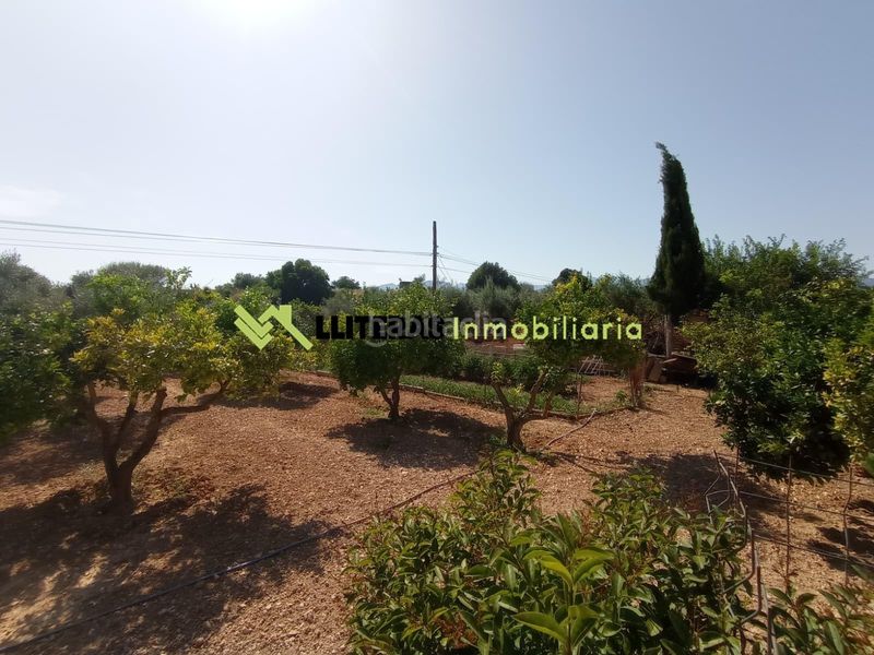 Foto c708fe94-7b3b-497d-aeb2-81ab222342f9. Masia amb piscina a Centro Inca