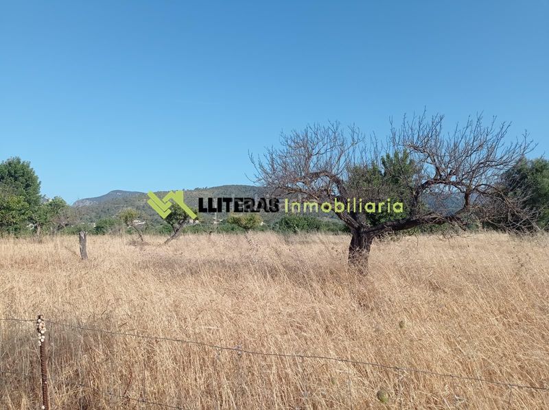 Foto fb652217-1154-4295-9975-99c0400fc99b. Masia a Lloseta
