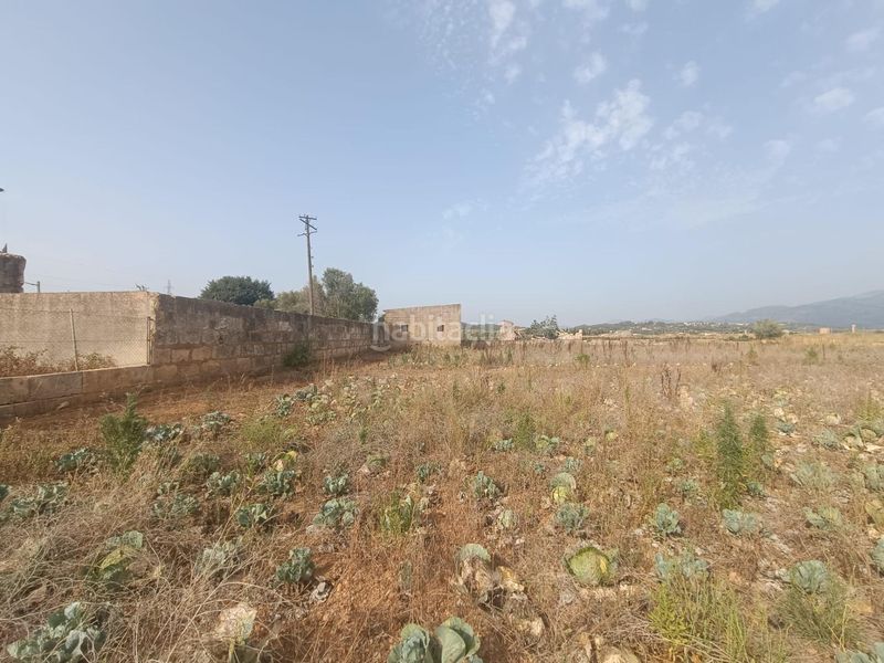 Foto a3eed365-98ff-4ad0-9313-86516d885297. Terreny residencial a Búger