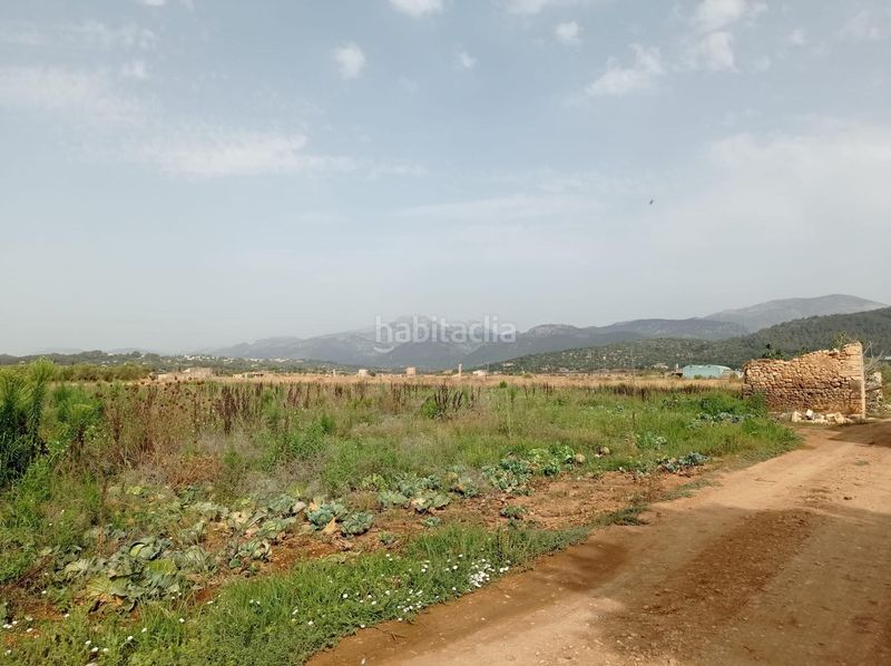 Foto a6e041a4-9ed2-49b5-8804-9f46a1ad71ef. Terreny residencial a Búger