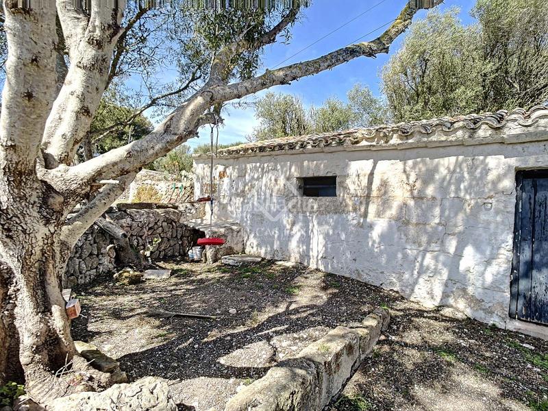 Foto 2e369f27-9837-4915-95bb-220ad72ad21a. Casale in Sant Climent-Es Canutells Maó