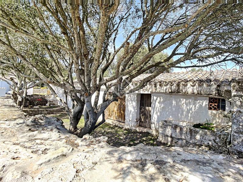 Foto d9b654c6-d50c-424b-9a93-152c74b89b3b. Casale in Sant Climent-Es Canutells Maó