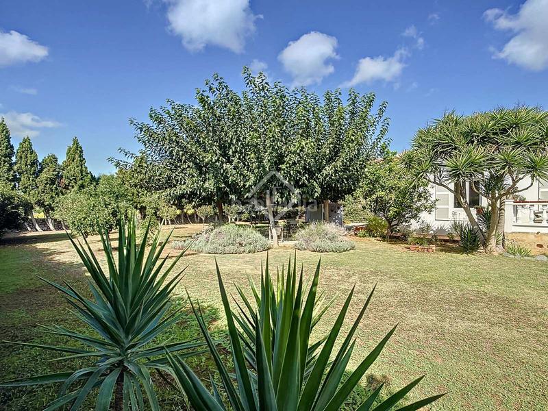 Foto 5d86b7ab-1939-469b-a013-87f05a031cd1. Bauernhof mit heizung parking in Alaior poble Alaior