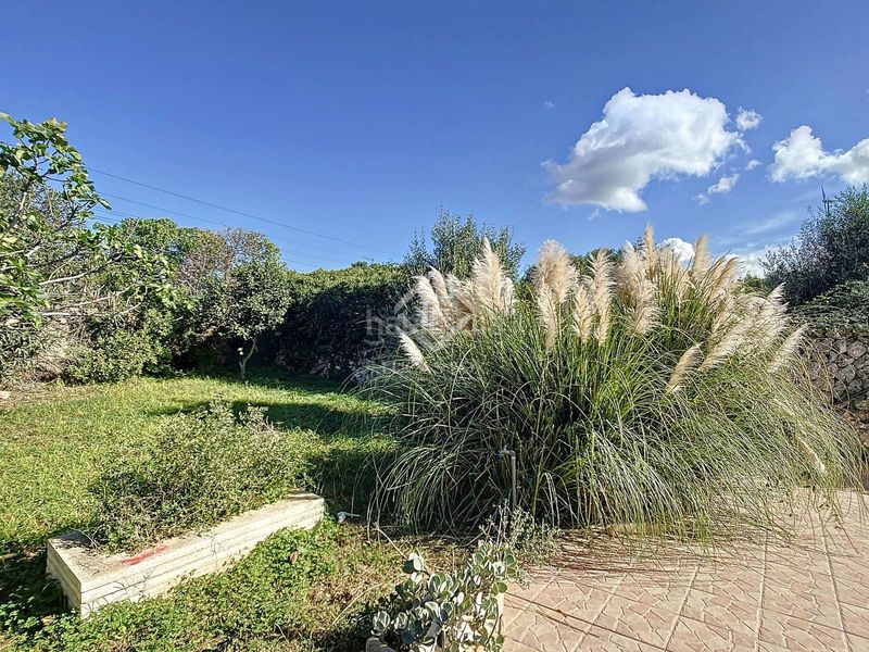Foto 311a0216-a610-4b57-ade4-f28492888910. Masía casa de campo de 4 dormitorios con apartamento de invitados en venta en Ciutadella de Menorca