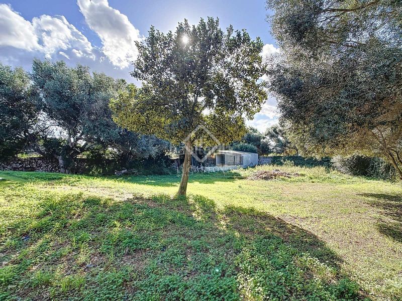 Foto d20f6533-2add-4968-a3da-85f9e2a9f483. Masía casa de campo de 4 dormitorios con apartamento de invitados en venta en Ciutadella de Menorca