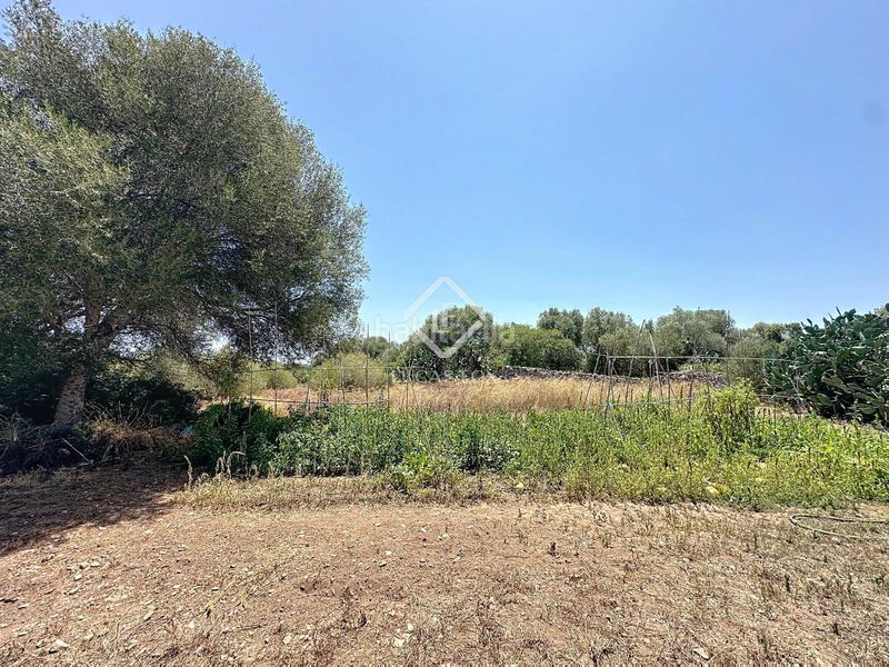 Foto 4a925fea-5e80-4074-b628-f6845aeb09f9. Masia a Alaior poble Alaior