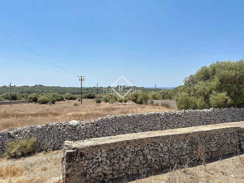 Foto 7dd441fe-e6b8-4e44-b422-c33d6cb300ac. Masia a Alaior poble Alaior