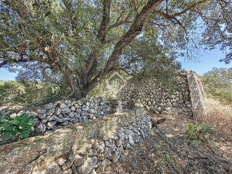 Foto aef70bbe-c8fd-4dee-93d0-c4d173b5317d. Masia a Alaior poble Alaior