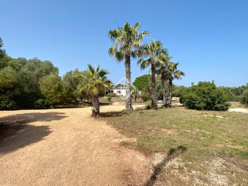 Foto df2cf584-a1e9-4c50-b23f-6c9f3abd76f0. Mas avec chauffage piscine dans Dalt Sant Joan-Plaça Eivissa Maó