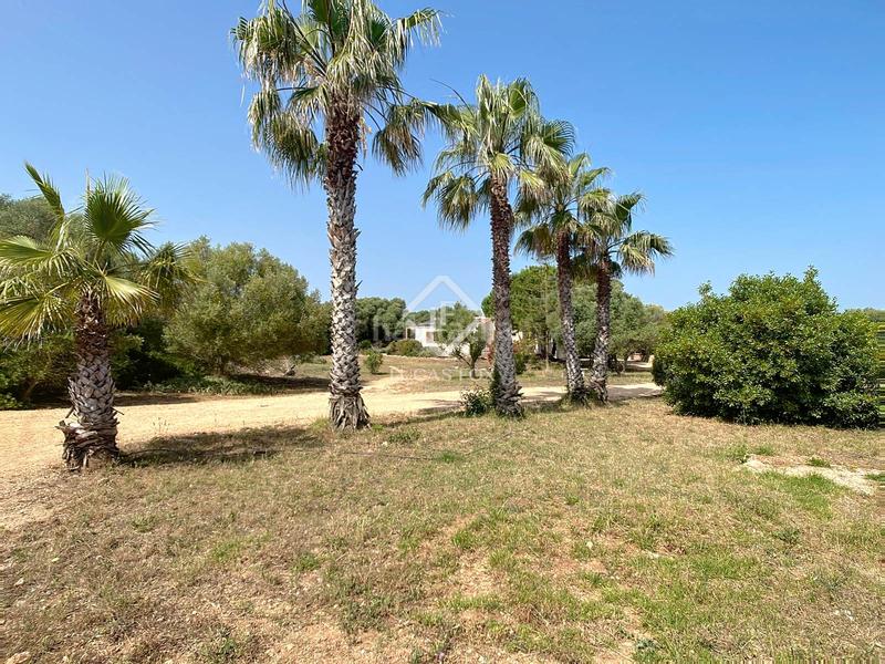 Foto ea180ab3-b53c-42a7-a425-8bb13db7a388. Mas avec chauffage piscine dans Dalt Sant Joan-Plaça Eivissa Maó