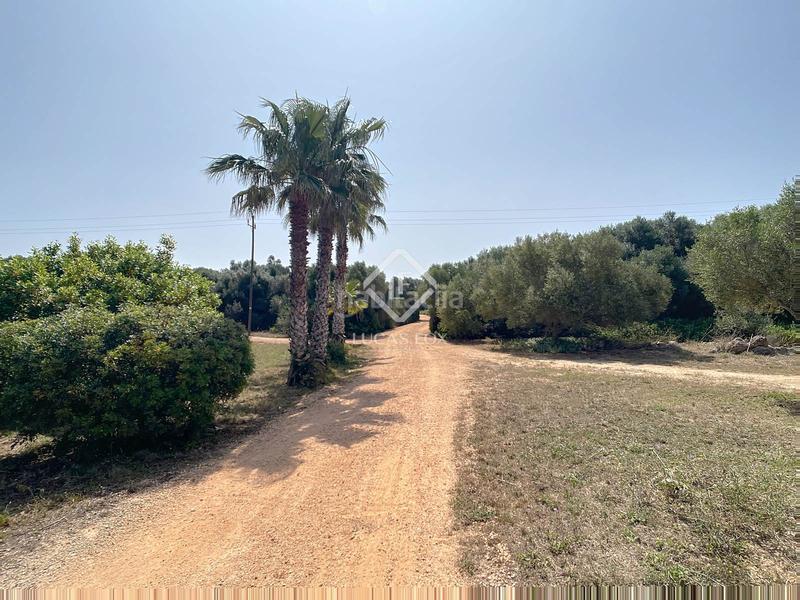 Foto f4e659e2-df95-4743-9b4a-fb369eebaf03. Mas avec chauffage piscine dans Dalt Sant Joan-Plaça Eivissa Maó