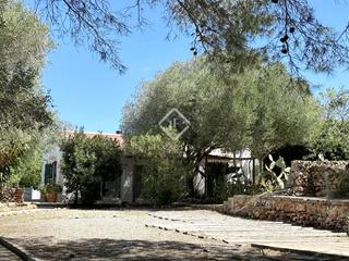 Country house in Formentera. Casa rural de 2 dormitorios, con caseta de barbacoa, trasteros,