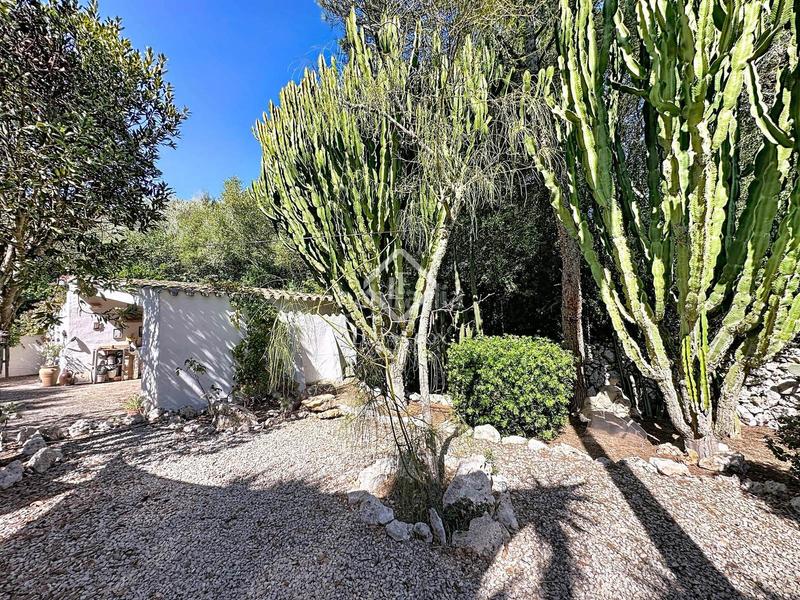 Foto d24d7e4e-09cf-40d0-988e-a56666853abf. Xalet amb calefacció aparcament piscina a Sant Lluís-s´ullestrar-torret Sant Lluís
