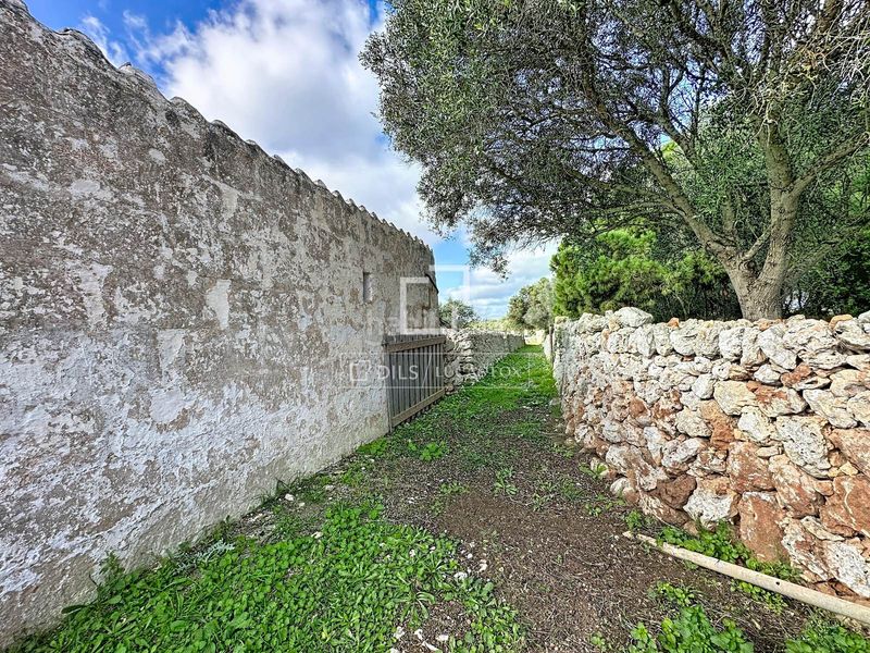 Foto 96ce031d-1665-45ce-a2d0-87c708c27922. Masia amb aparcament a Santa Anna-Sol de l´Est Es Castell