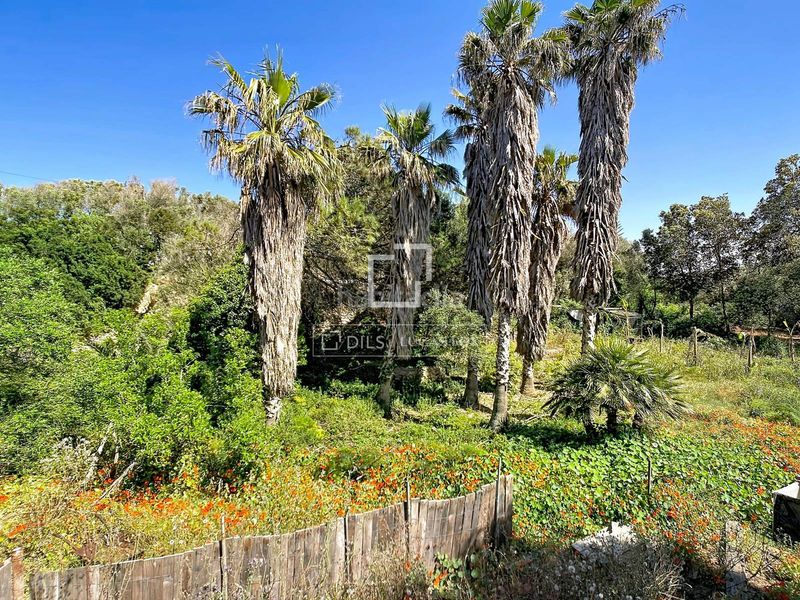 Foto 21ec24b7-36b3-4d77-b9f2-fd8e8f00c31a. Masía fantástica casa rural de estilo menorquín de 3 dormitorios con varias edificaciones y piscina en venta, en Ciutadella de Menorca