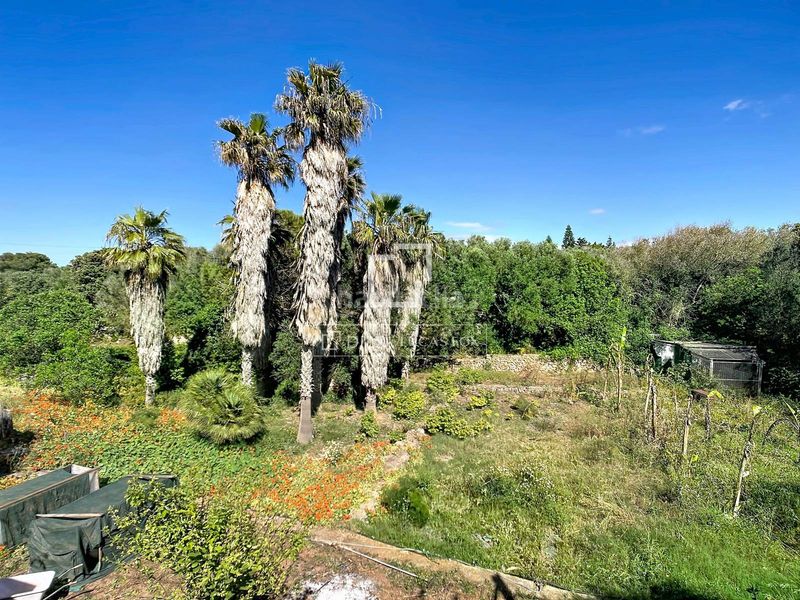 Foto d09b975c-9888-45fb-bddf-2207e7e489dd. Masía fantástica casa rural de estilo menorquín de 3 dormitorios con varias edificaciones y piscina en venta, en Ciutadella de Menorca