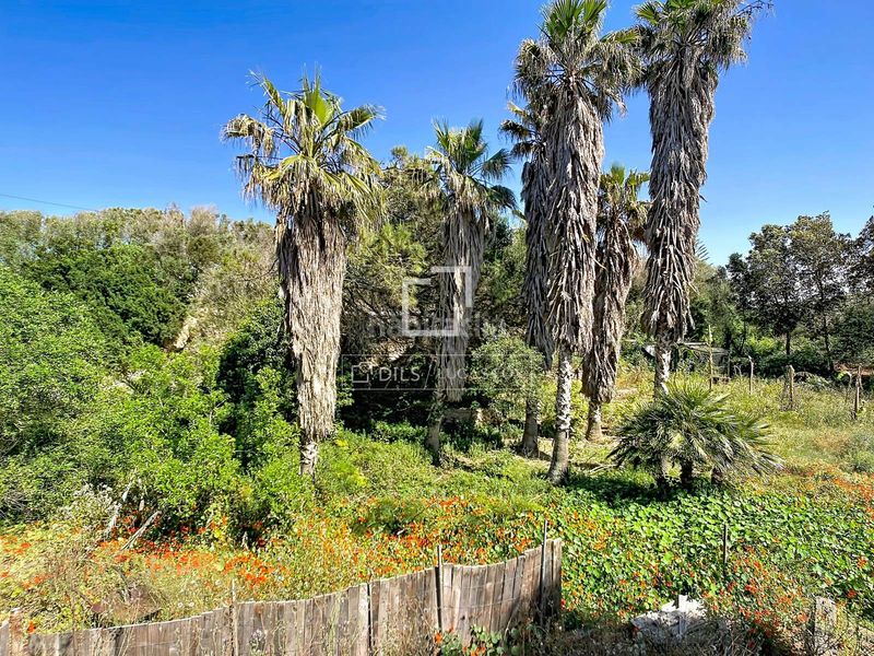 Foto d8702df3-27d5-4707-9046-38bad178d027. Masía fantástica casa rural de estilo menorquín de 3 dormitorios con varias edificaciones y piscina en venta, en Ciutadella de Menorca