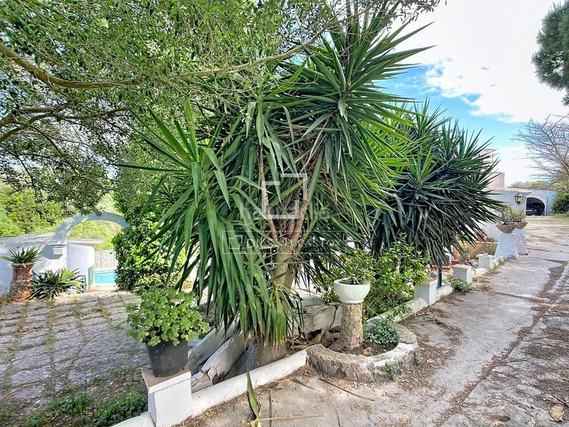 Foto e56199a2-3945-44b3-ba3a-af58a2e7d4da. Masía fantástica casa rural de estilo menorquín de 3 dormitorios con varias edificaciones y piscina en venta, en Ciutadella de Menorca