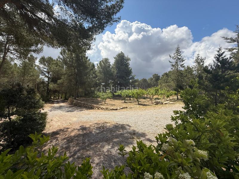 Foto df03ac5e-62a9-43d4-9ebd-24d1ba599537. Xalet amb calefacció aparcament piscina a Santa Gertrudis Santa Eulària