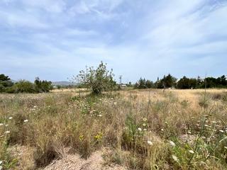 Residential Plot in Ca Na Negreta - Can Ramón