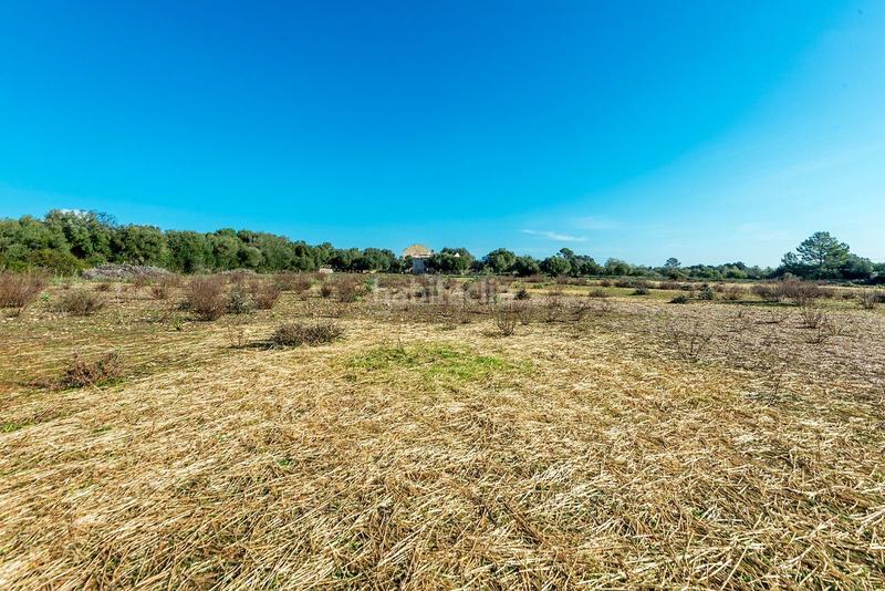 Foto 1180b090-0c50-49e7-a6ff-6ae94f8aedd2. Masía venta de tres fs rústicas . en Cristo Rey-Parque Europa Inca