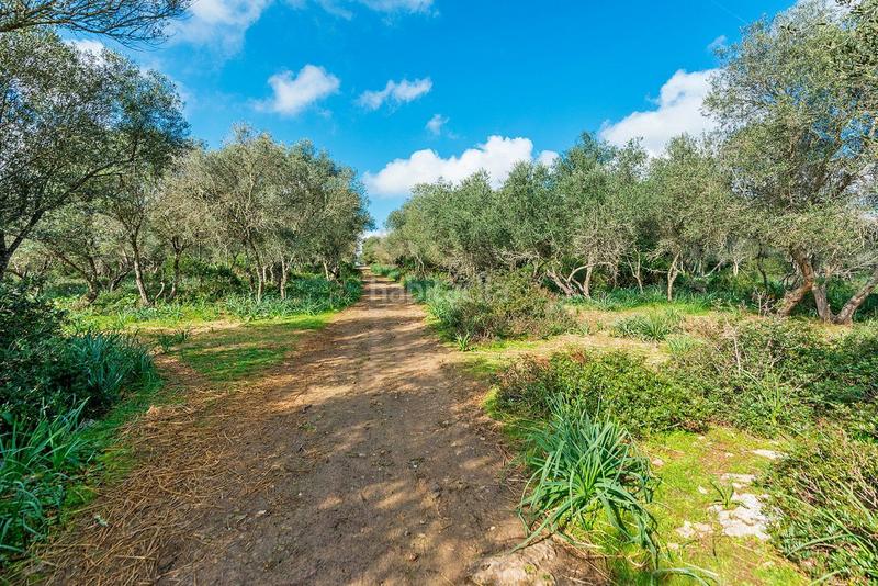 Foto 238c34ef-cc4f-40e2-bc9d-47a5decb6cd4. Masía venta de tres fs rústicas . en Cristo Rey-Parque Europa Inca