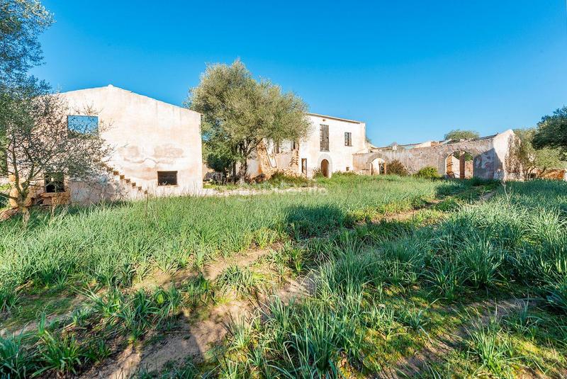 Foto 2cf35309-7634-4f6a-bd29-951974b9d6c4. Masía venta de tres fs rústicas . en Cristo Rey-Parque Europa Inca