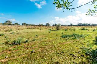 Country house in Cristo Rey-Parque Europa. Venta de tres fincas rústicas en inca.