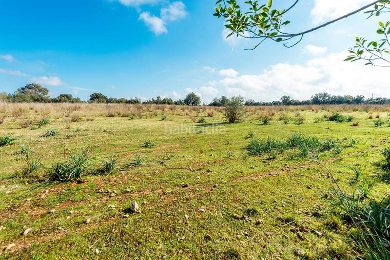 Foto 3a243d6c-5da4-4914-9c62-06f4410653b7. Masía venta de tres fs rústicas . en Cristo Rey-Parque Europa Inca