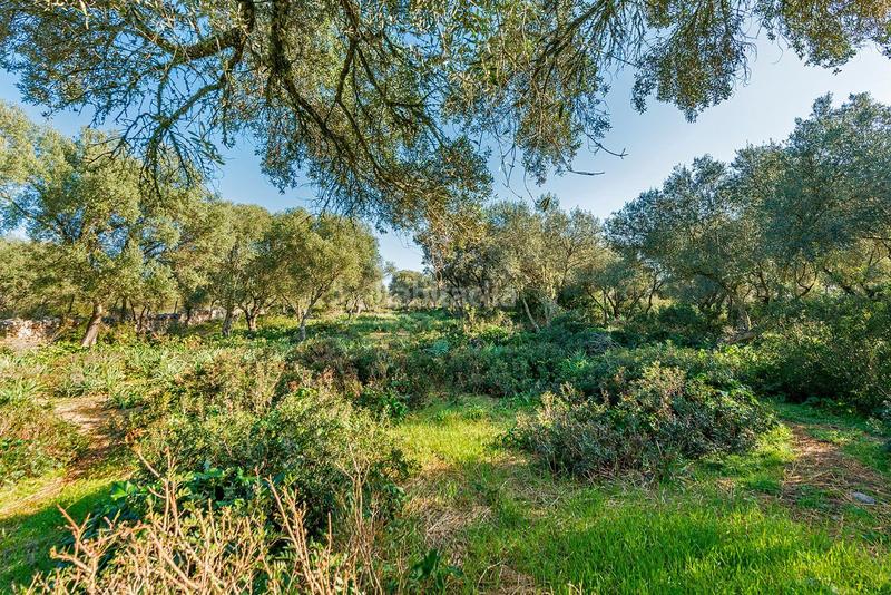 Foto 3a39c551-7df2-4cf7-8bee-0e313e4ad768. Masía venta de tres fs rústicas . en Cristo Rey-Parque Europa Inca