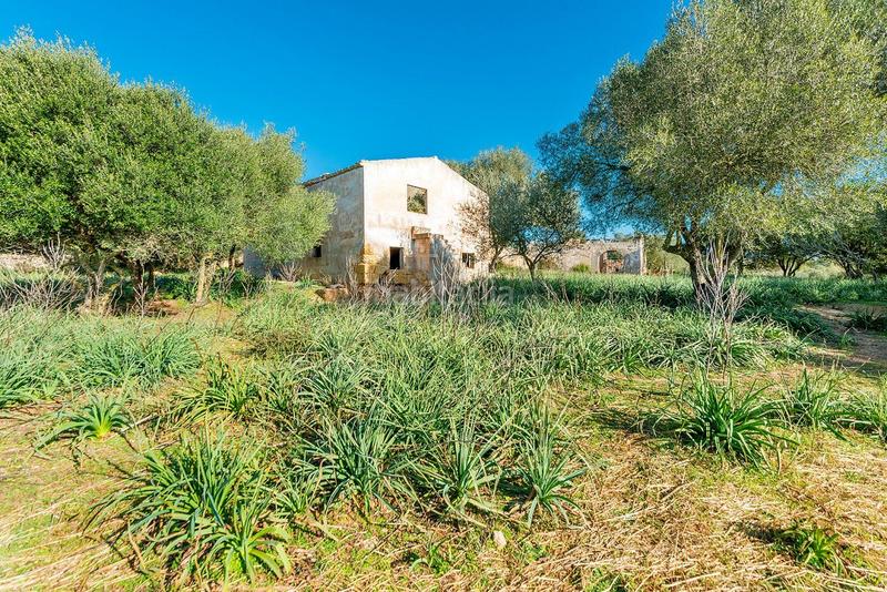 Foto 41cbce70-2c60-40ba-abe3-056812e9c5b0. Masía venta de tres fs rústicas . en Cristo Rey-Parque Europa Inca