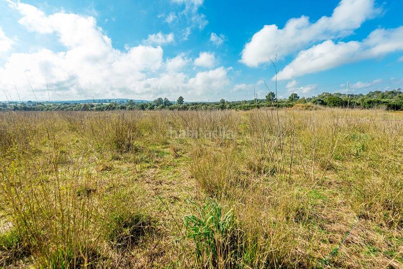 Foto 550d5681-12df-4fe2-8713-9457df1b86f1. Masía venta de tres fs rústicas . en Cristo Rey-Parque Europa Inca