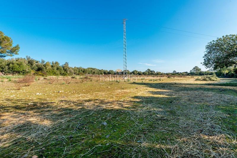 Foto 5a8002a3-e476-4e4b-bf4f-71aee1ee4257. Masía venta de tres fs rústicas . en Cristo Rey-Parque Europa Inca