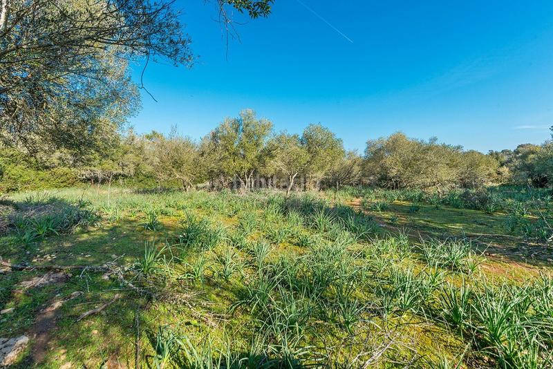 Foto 61d7b715-5e4e-4207-8cb4-f07e60a4a144. Masía venta de tres fs rústicas . en Cristo Rey-Parque Europa Inca