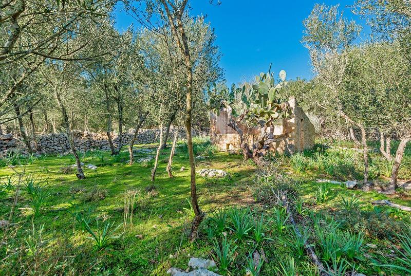 Foto 8cfc96e2-676c-49ae-8ee5-7e29ab6d12be. Masía venta de tres fs rústicas . en Cristo Rey-Parque Europa Inca