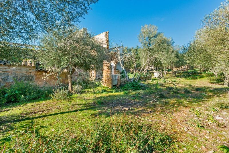 Foto 8f8184cd-688c-4056-ac29-0896759c4541. Masía venta de tres fs rústicas . en Cristo Rey-Parque Europa Inca