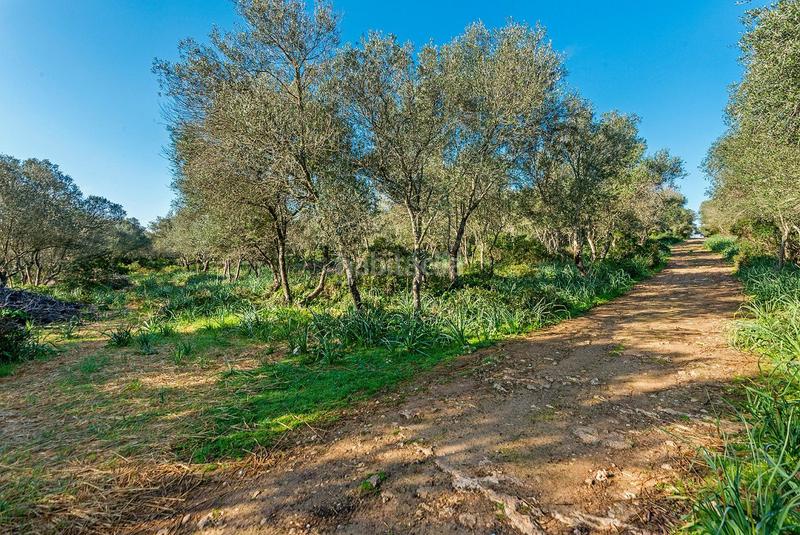 Foto a31768ba-2dec-4ae5-87cf-9b5aae0e2543. Masía venta de tres fs rústicas . en Cristo Rey-Parque Europa Inca