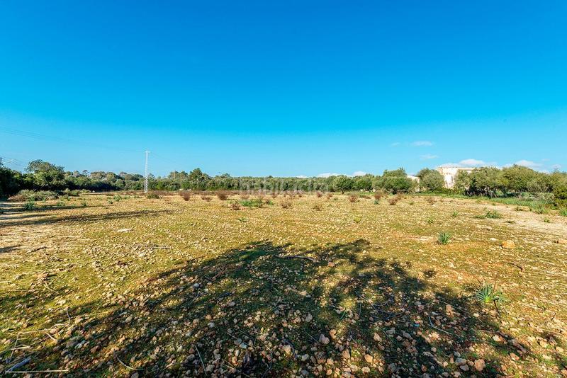 Foto a324482d-0fac-4545-9f9b-f8b09ab753ec. Masía venta de tres fs rústicas . en Cristo Rey-Parque Europa Inca